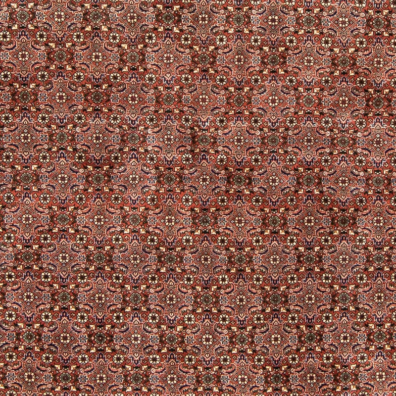 Alfombra persa - Bidjar - 235 x 167 cm - rojo claro