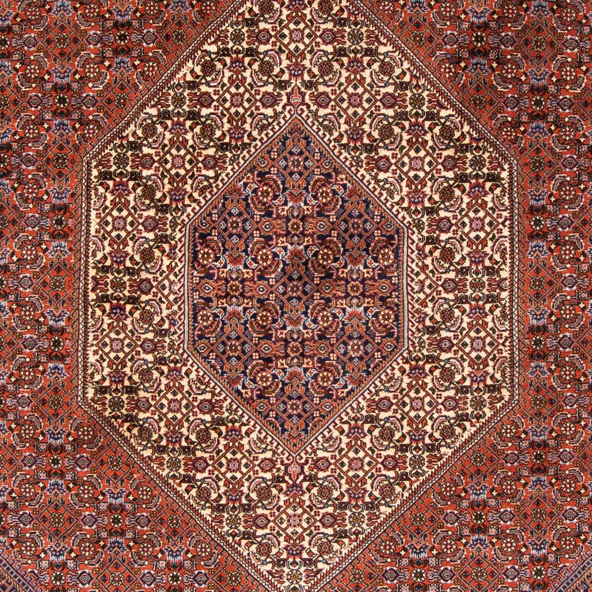 Alfombra persa - Bidjar - 230 x 166 cm - marrón