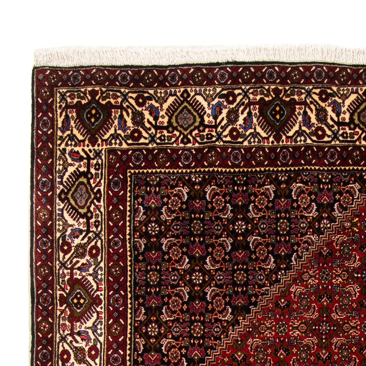Bidjar Alfombra 164x263cm - Alfombra persa