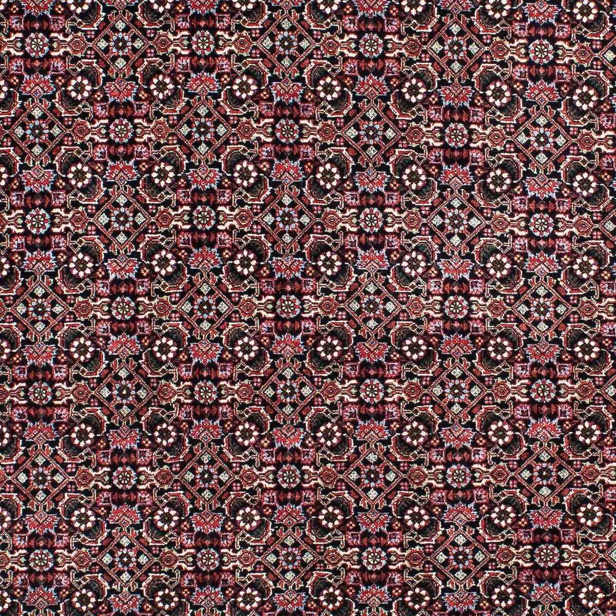 Alfombra persa - Bidjar - 207 x 131 cm - multicolor