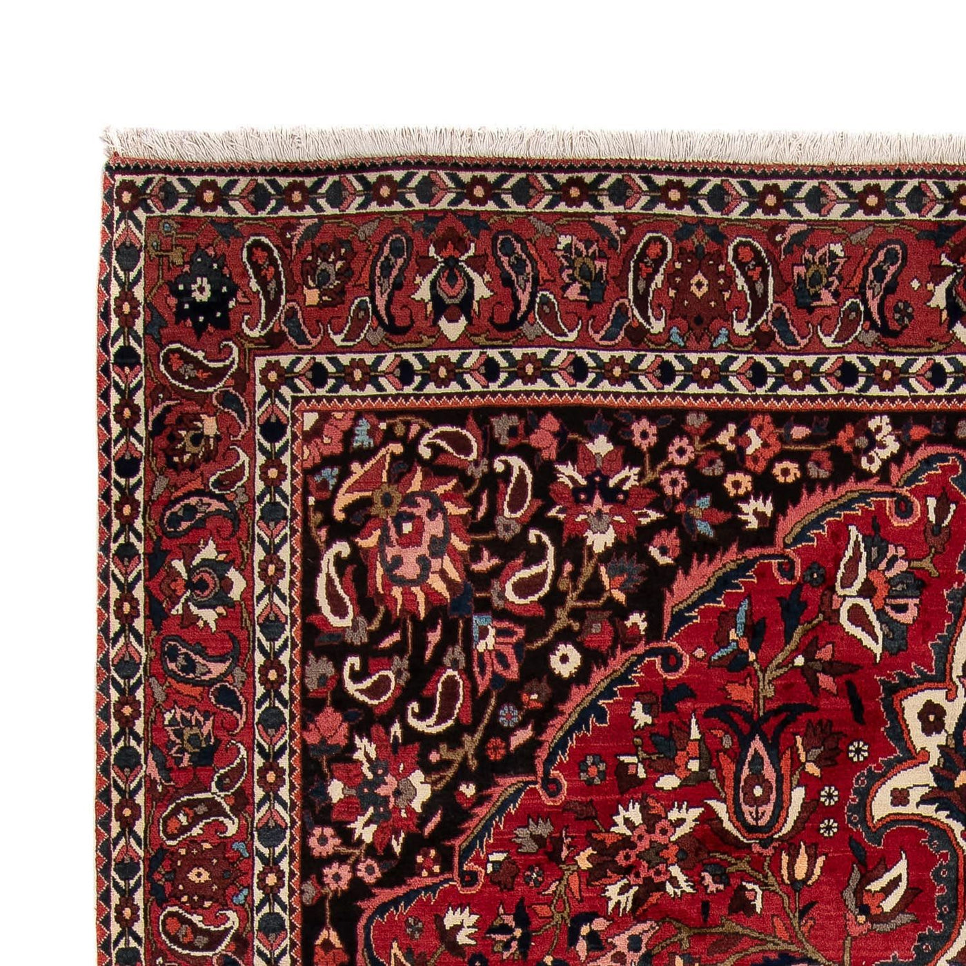 Bakhtiari Alfombra 365x265cm - Alfombra persa