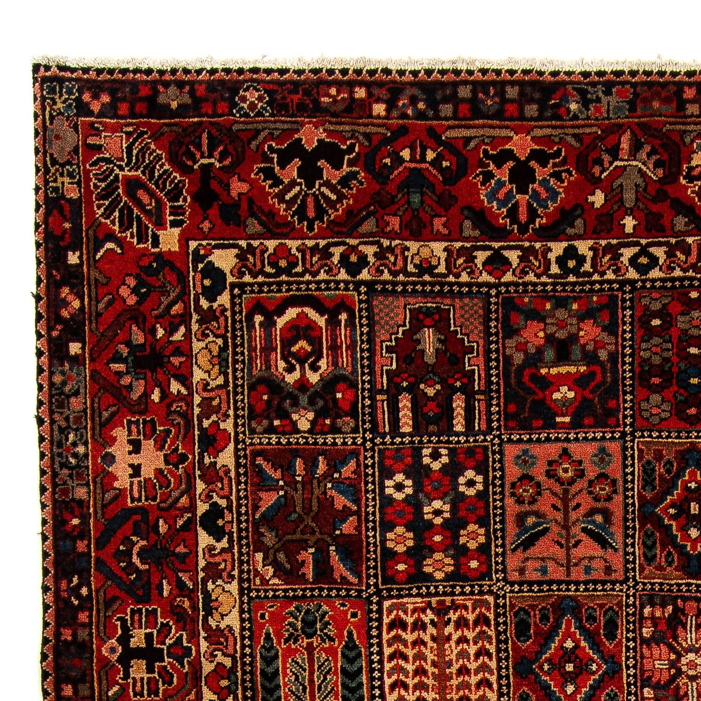 Bakhtiari Alfombra 351x302cm - Alfombra persa