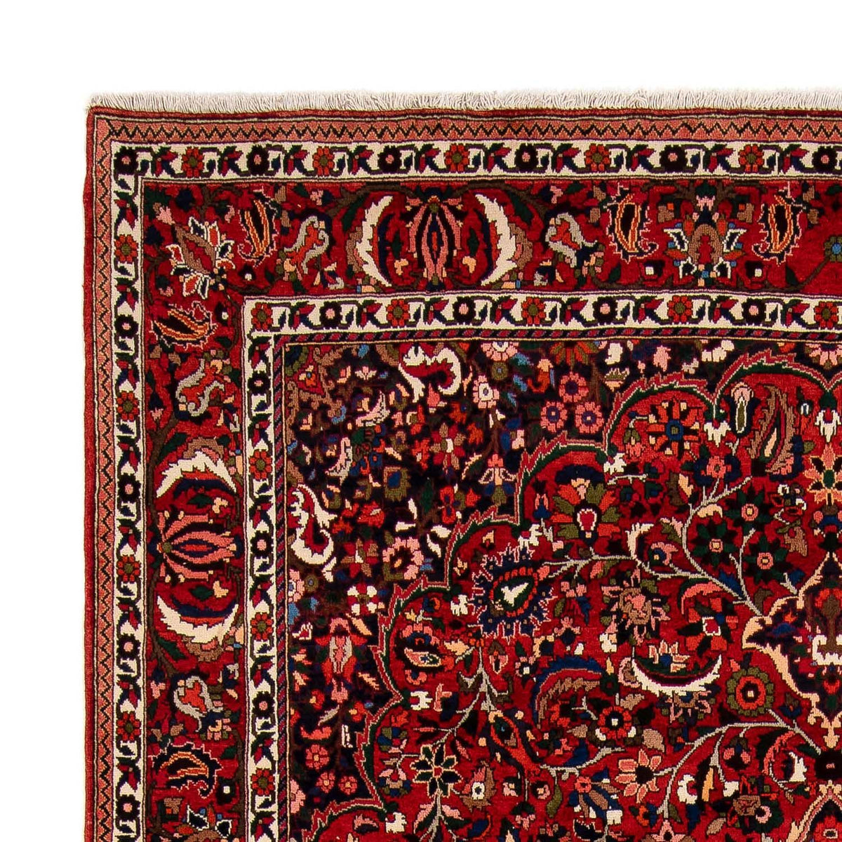 Bakhtiari Alfombra 242x372cm - Alfombra persa - rojo oscuro