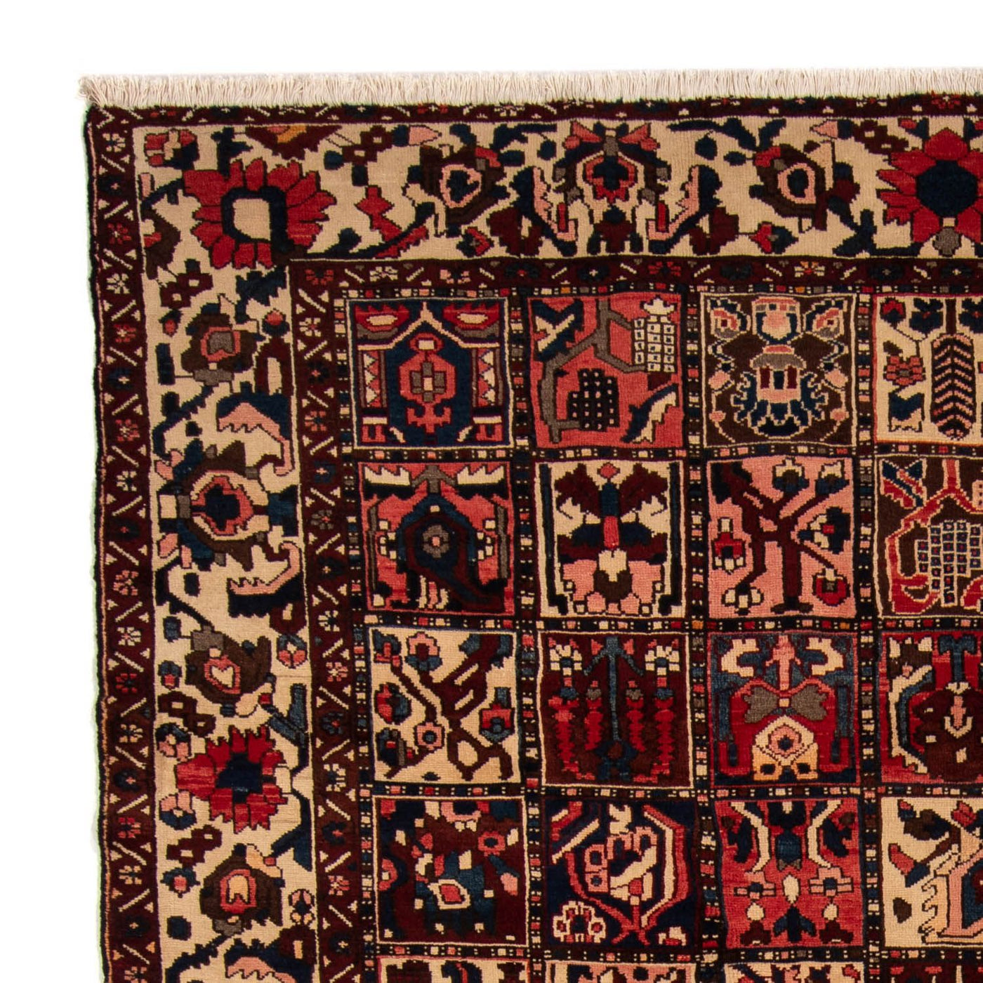 Bakhtiari Alfombra 337x258cm - Alfombra persa