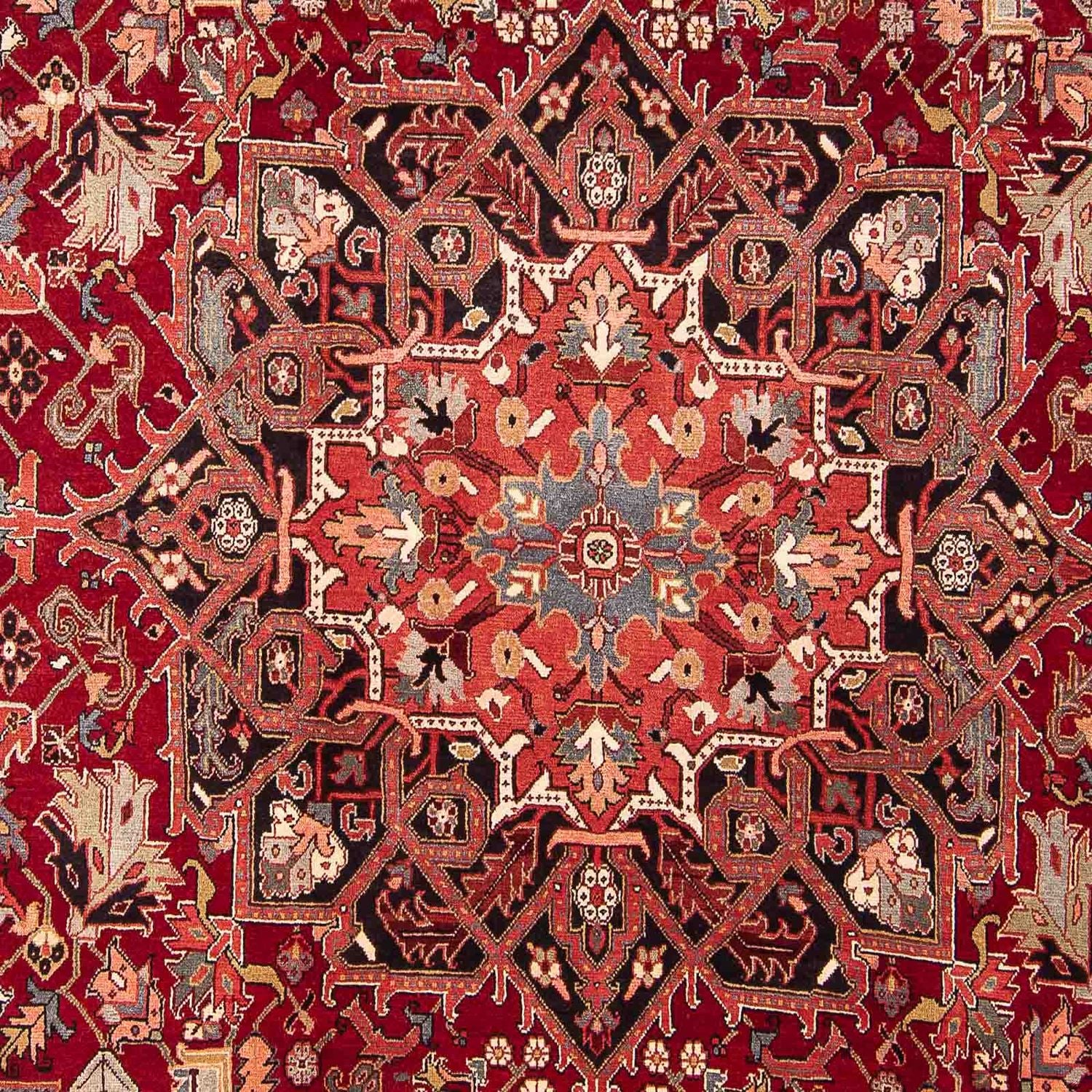 Alfombra persa - Nómada - 334 x 265 cm - rojo oscuro