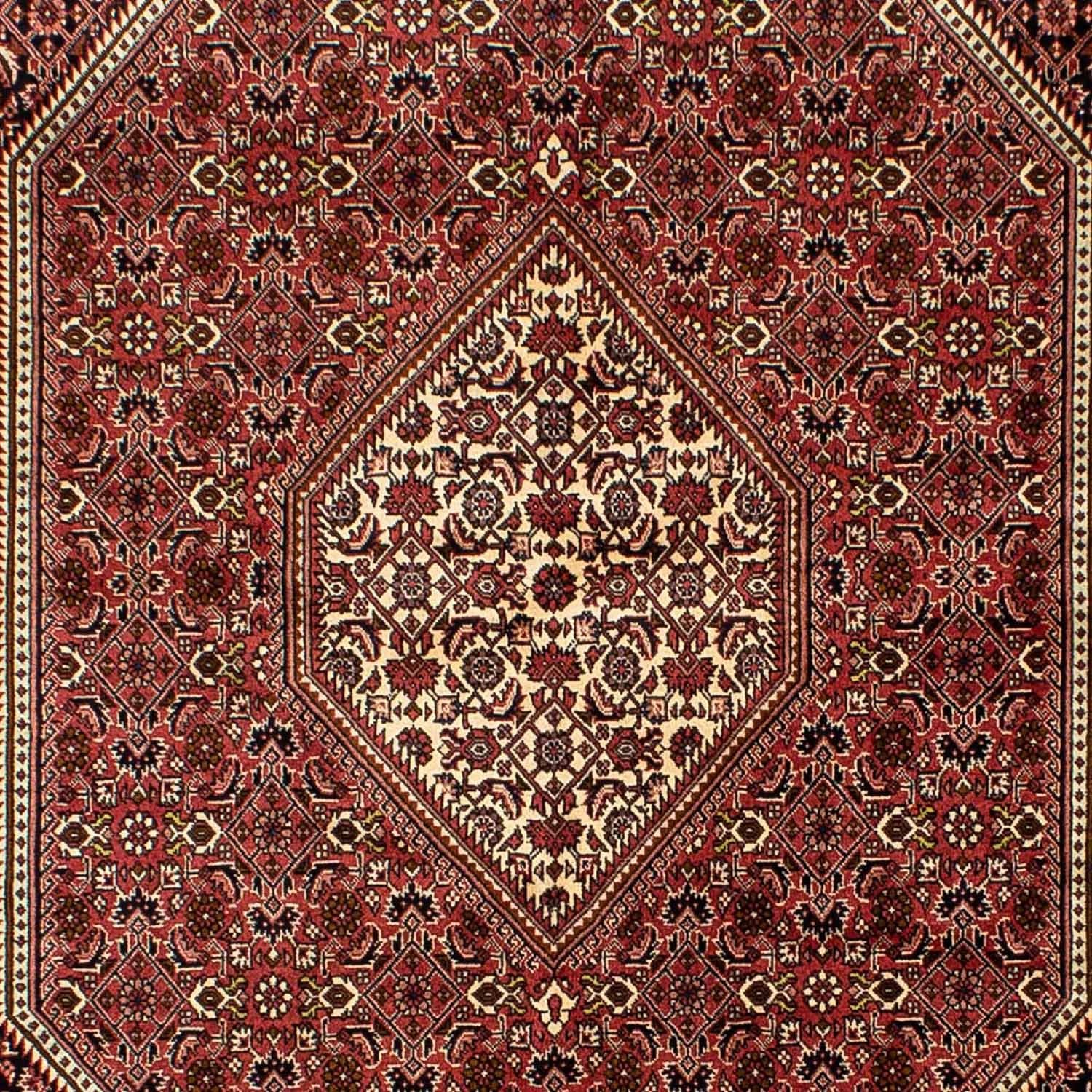 Alfombra persa - Bidjar - 243 x 167 cm - rojo oscuro
