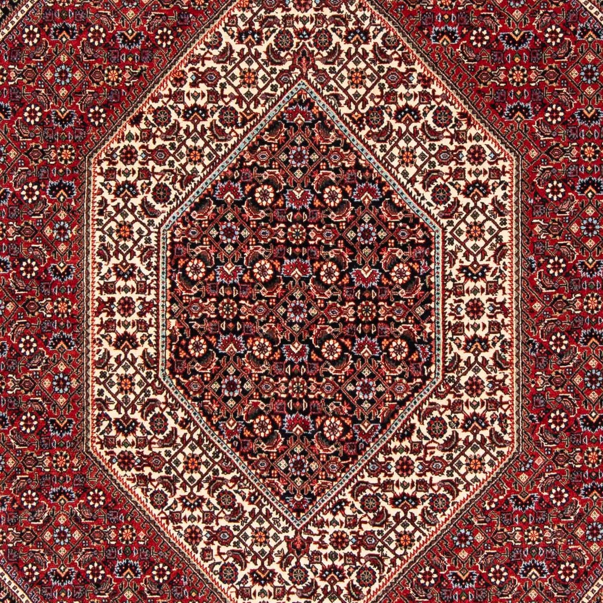 Alfombra persa - Bidjar - 237 x 173 cm - rojo oscuro