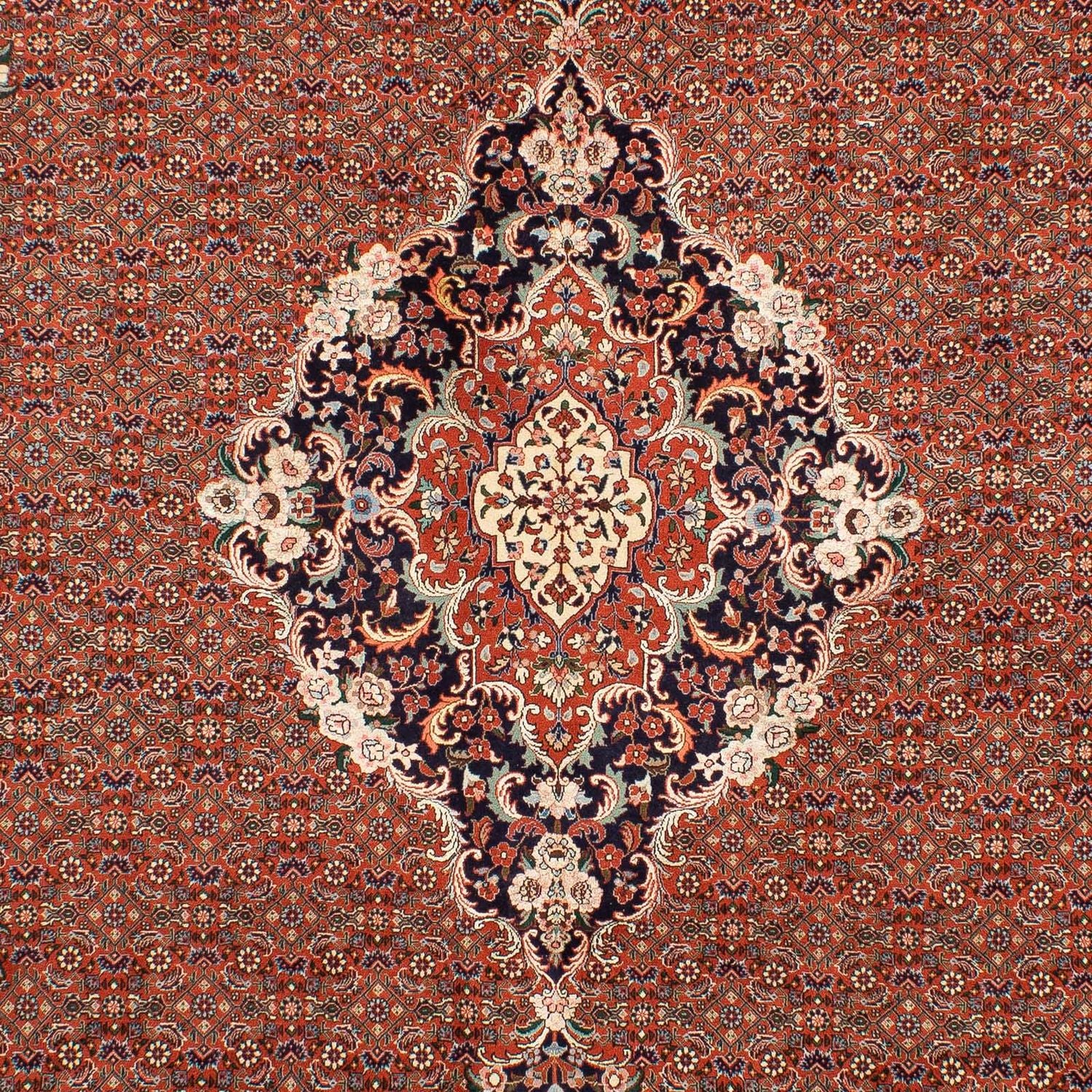 Alfombra persa - Bidjar - 288 x 206 cm - óxido