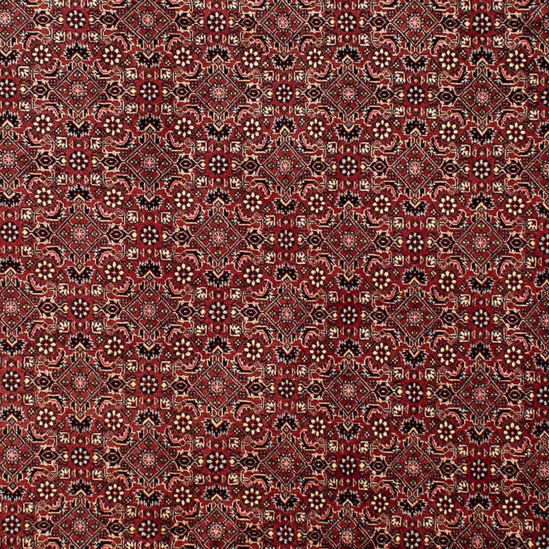 Alfombra persa - Bidjar - 290 x 195 cm - rojo oscuro