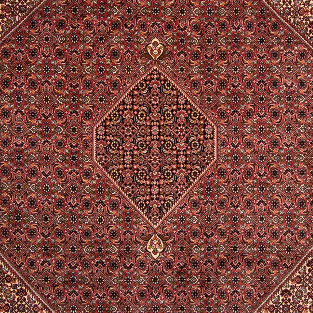 Alfombra persa - Bidjar - 338 x 248 cm - marrón