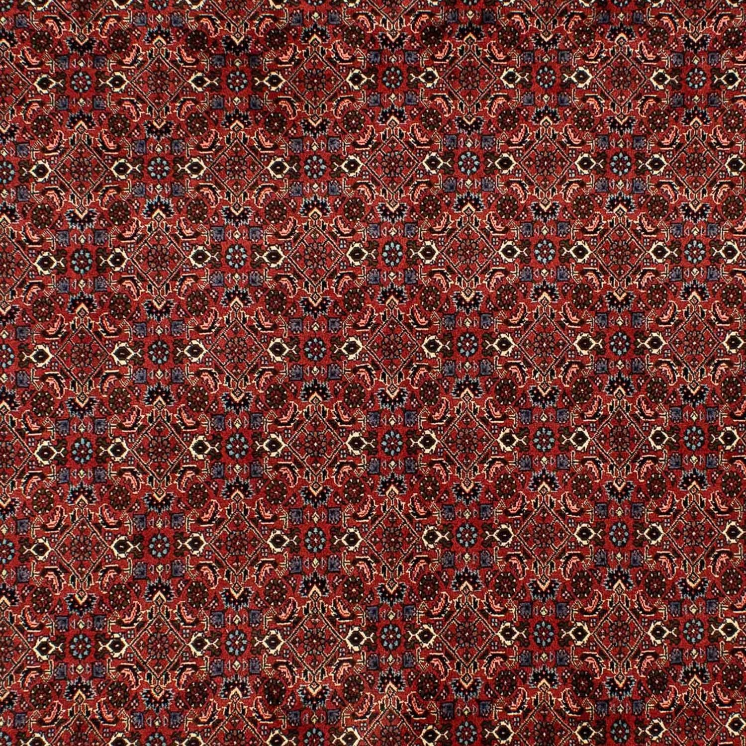 Alfombra persa - Bidjar - 284 x 200 cm - rojo oscuro