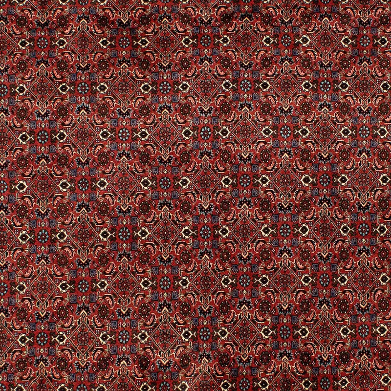 Alfombra persa - Bidjar - 284 x 200 cm - rojo oscuro