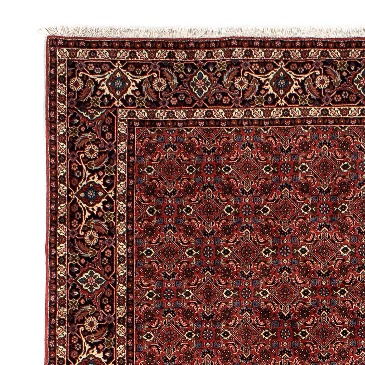 Bidjar Alfombra 200x284cm - Alfombra persa