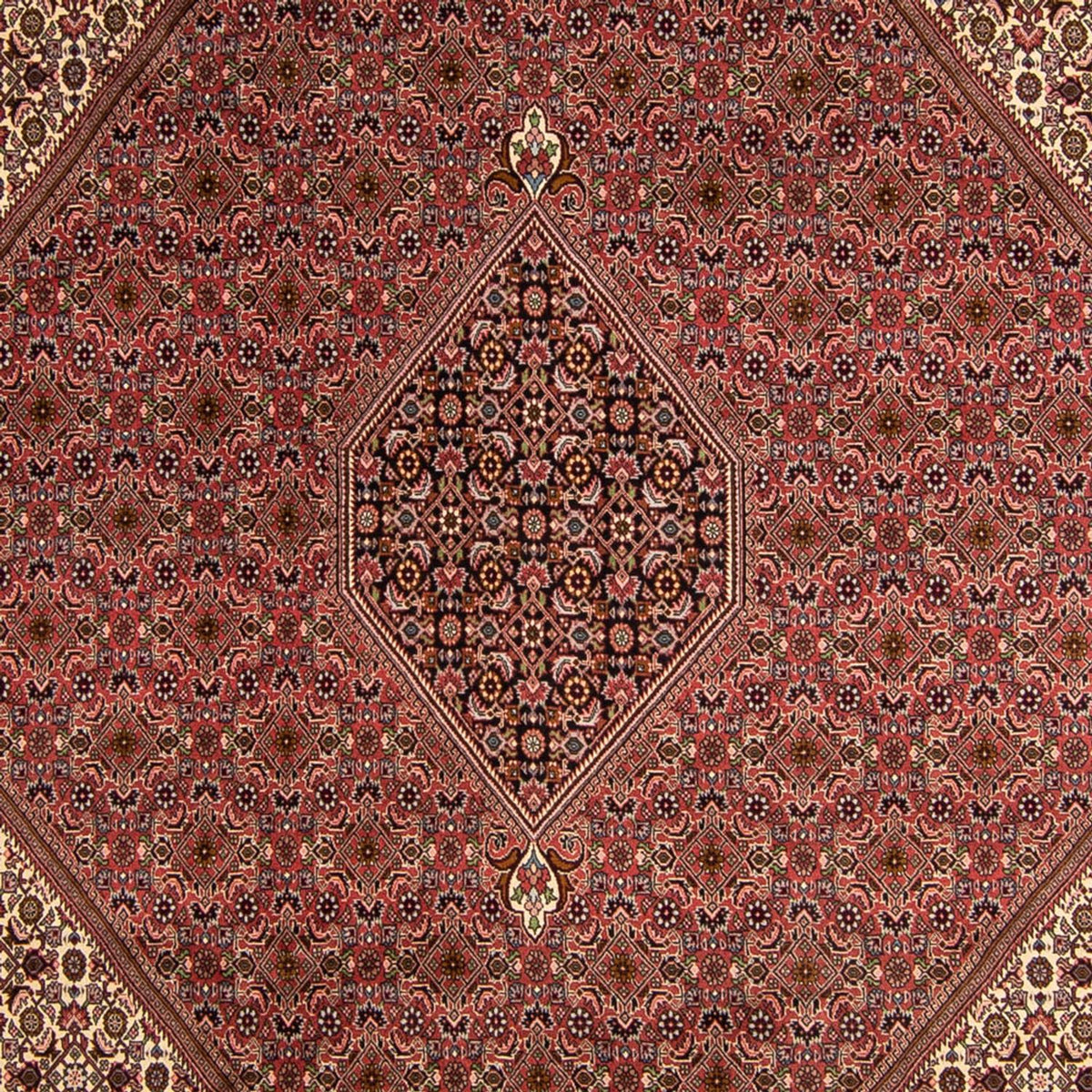 Alfombra persa - Bidjar - 350 x 245 cm - marrón