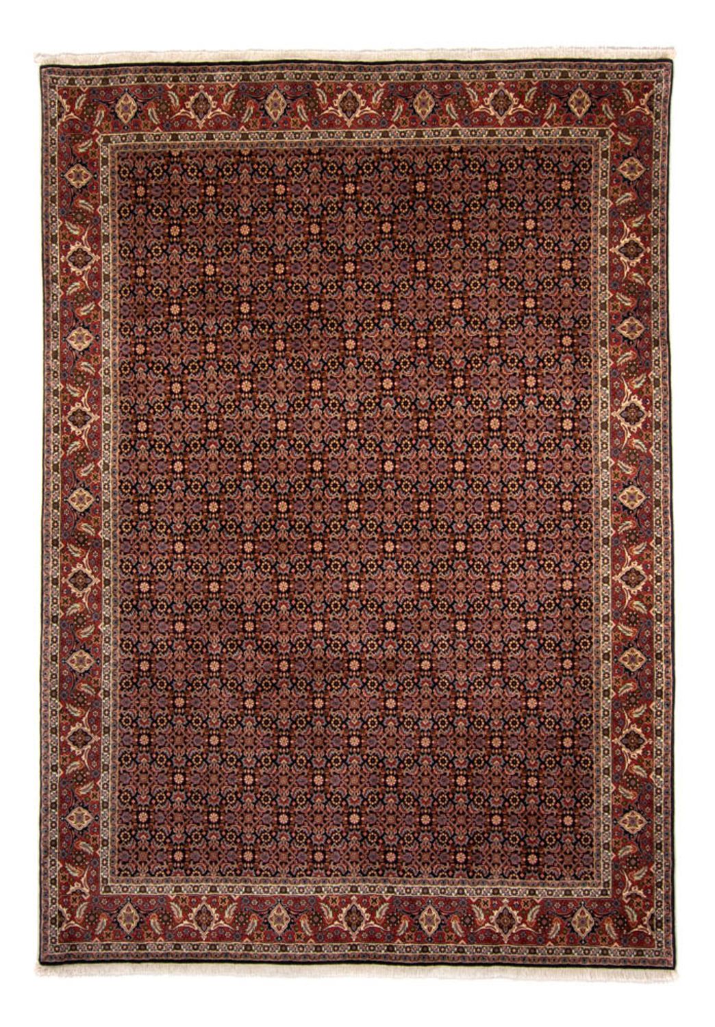 Alfombra persa - Bidjar - 345 x 245 cm - marrón