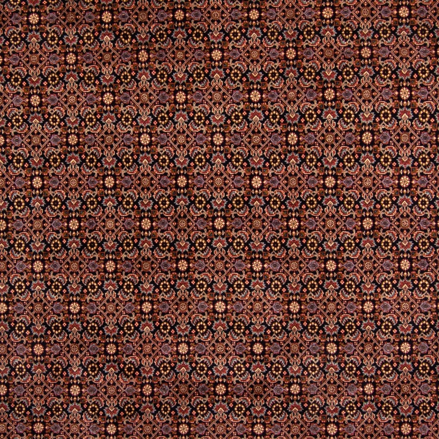 Alfombra persa - Bidjar - 345 x 245 cm - marrón