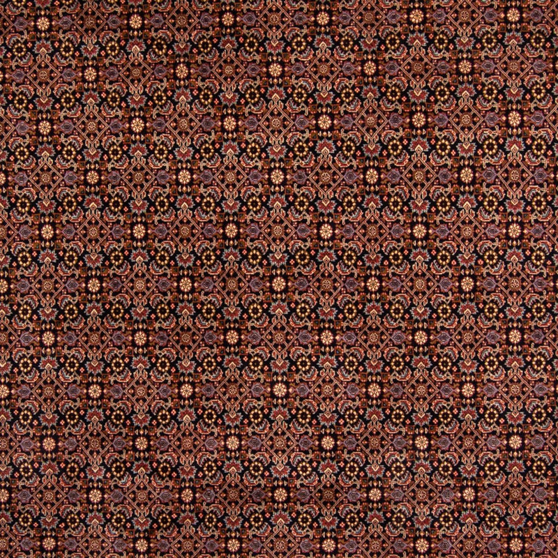 Alfombra persa - Bidjar - 345 x 245 cm - marrón