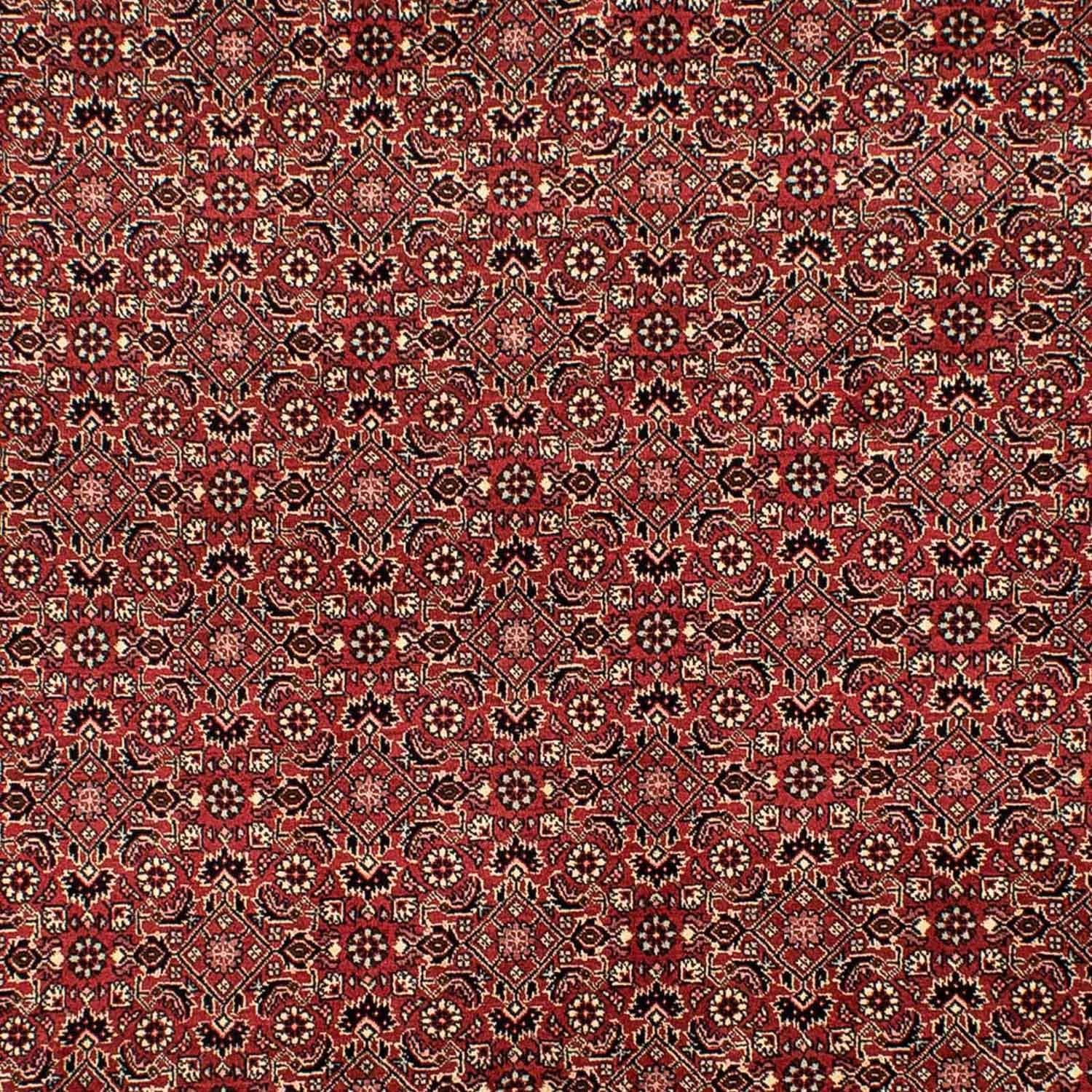 Alfombra persa - Bidjar - 305 x 198 cm - rojo oscuro