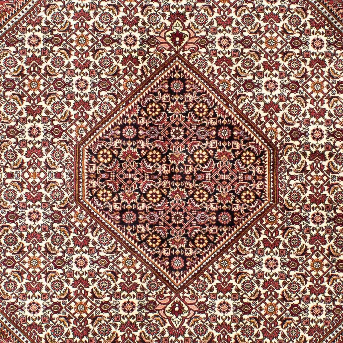 Alfombra persa - Bidjar - 240 x 170 cm - beige