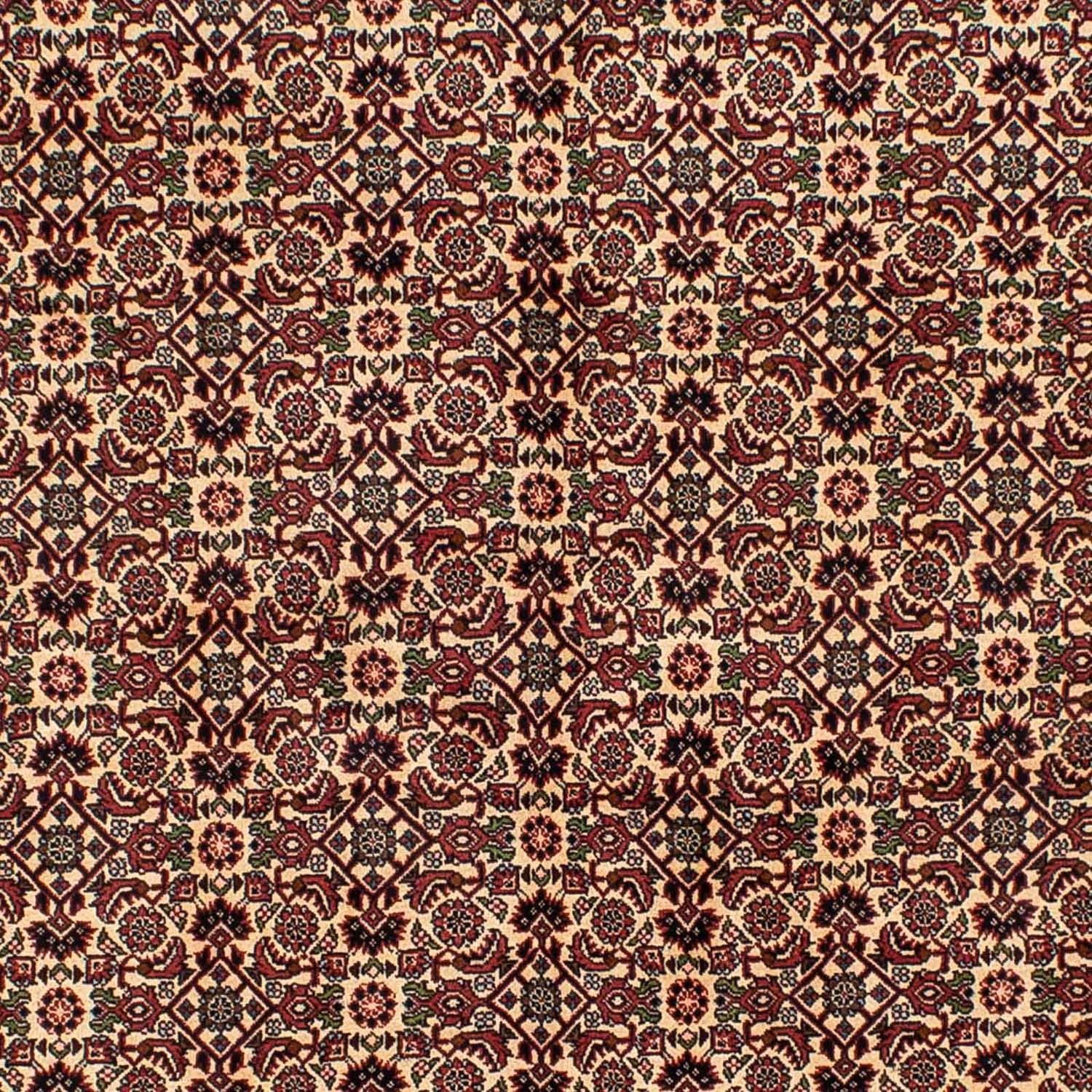 Alfombra persa - Bidjar - 249 x 172 cm - marrón