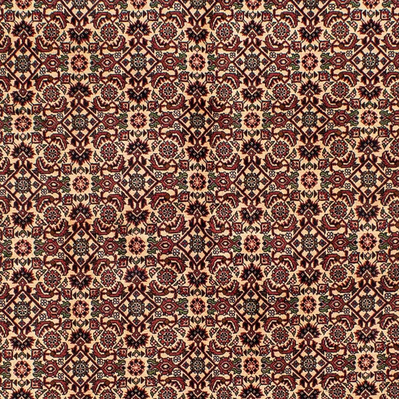 Alfombra persa - Bidjar - 249 x 172 cm - marrón