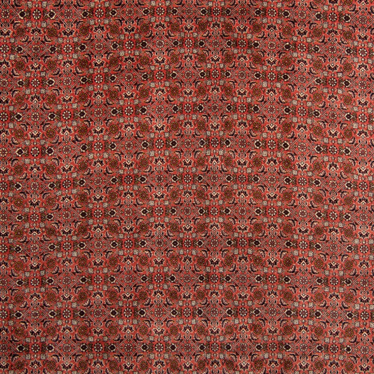 Alfombra persa - Bidjar - 357 x 248 cm - rojo oscuro