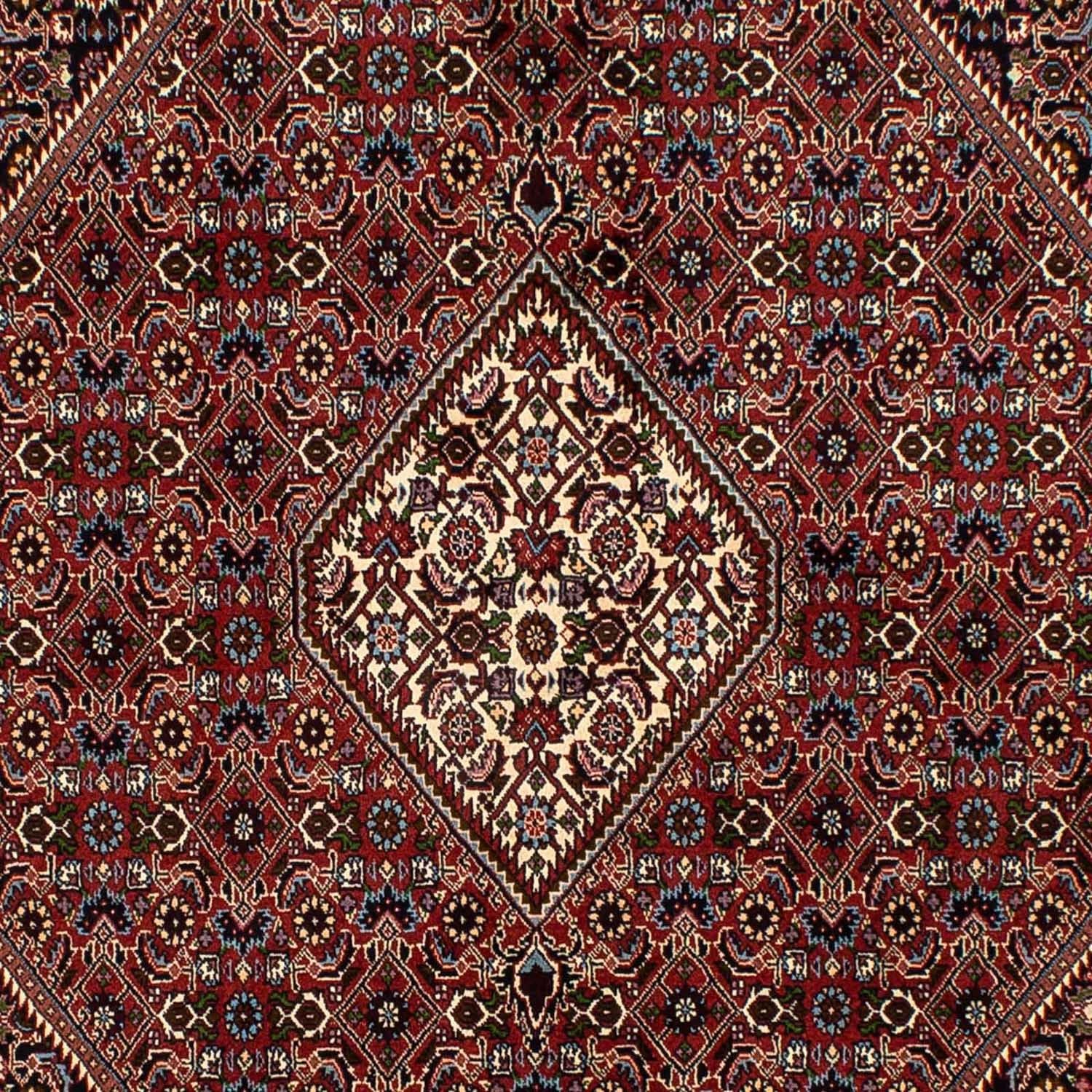 Alfombra persa - Bidjar - 250 x 173 cm - marrón