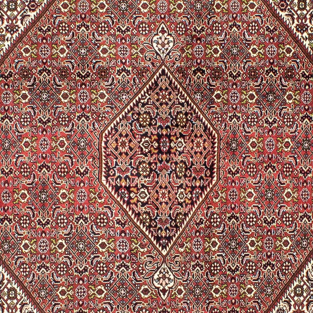 Alfombra persa - Bidjar - 251 x 174 cm - rojo claro