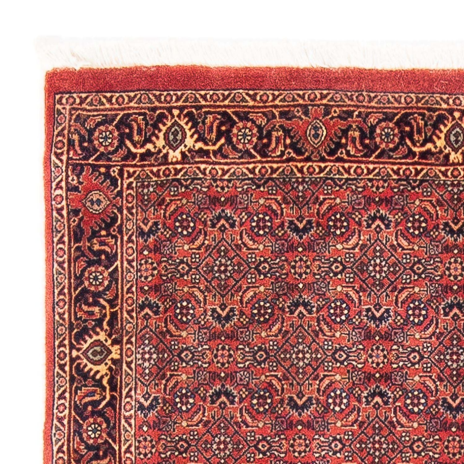 Alfombra persa - Bidjar - 154 x 90 cm - rojo
