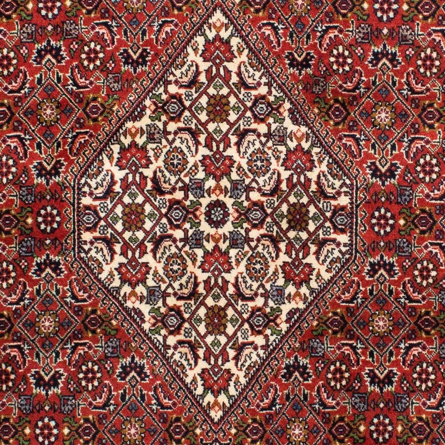 Alfombra persa - Bidjar - 220 x 141 cm - rojo