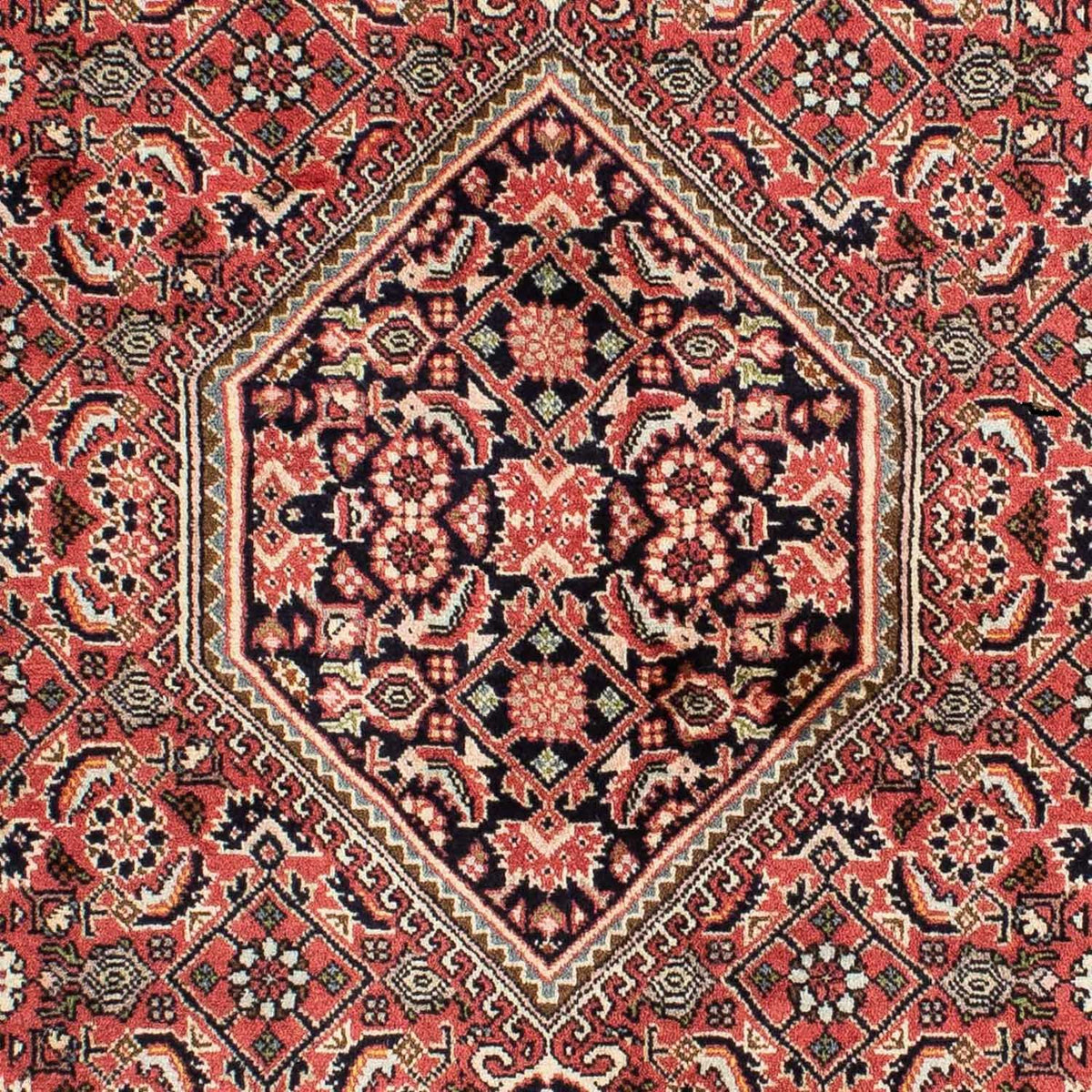 Alfombra persa - Bidjar - 210 x 139 cm - rojo