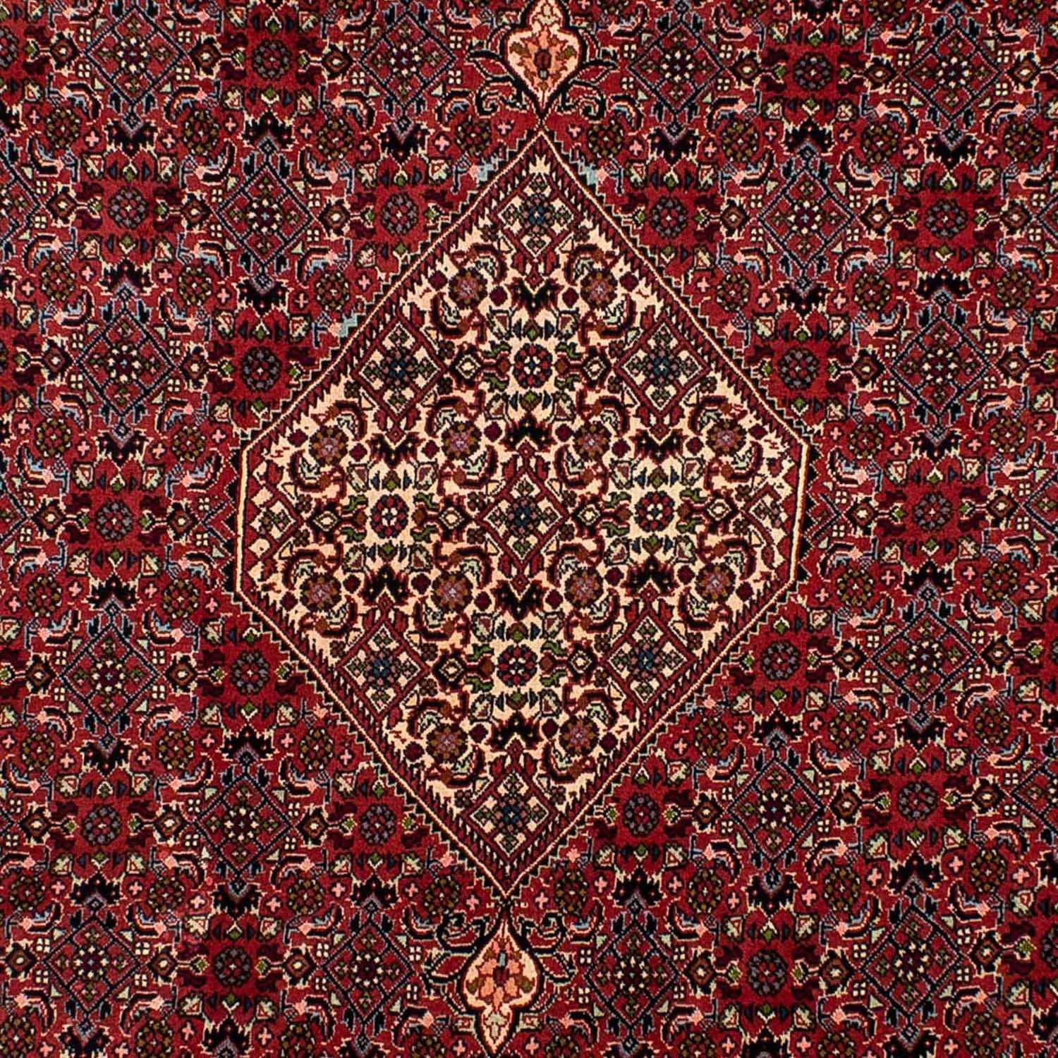 Alfombra persa - Bidjar - 290 x 206 cm - rojo oscuro