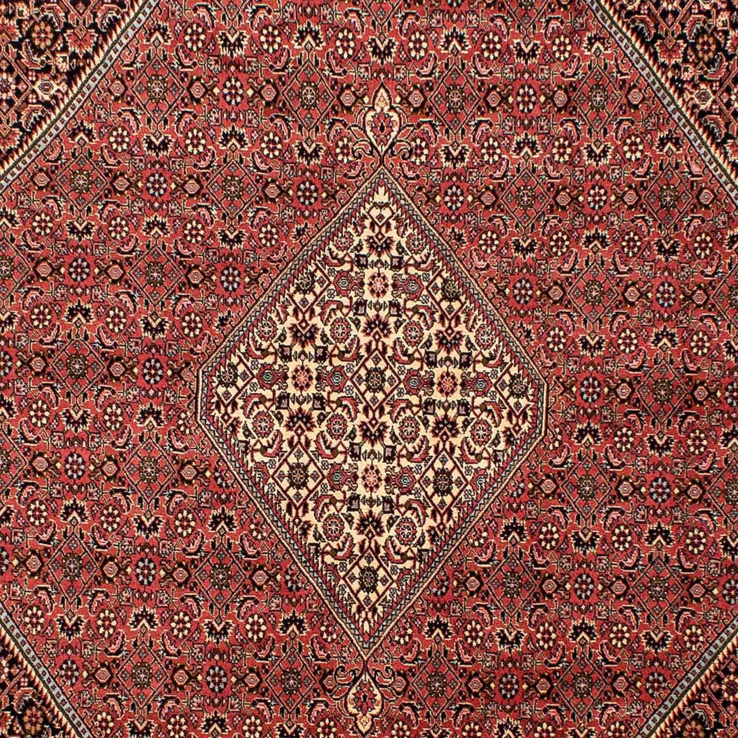 Alfombra persa - Bidjar - 293 x 205 cm - rojo claro