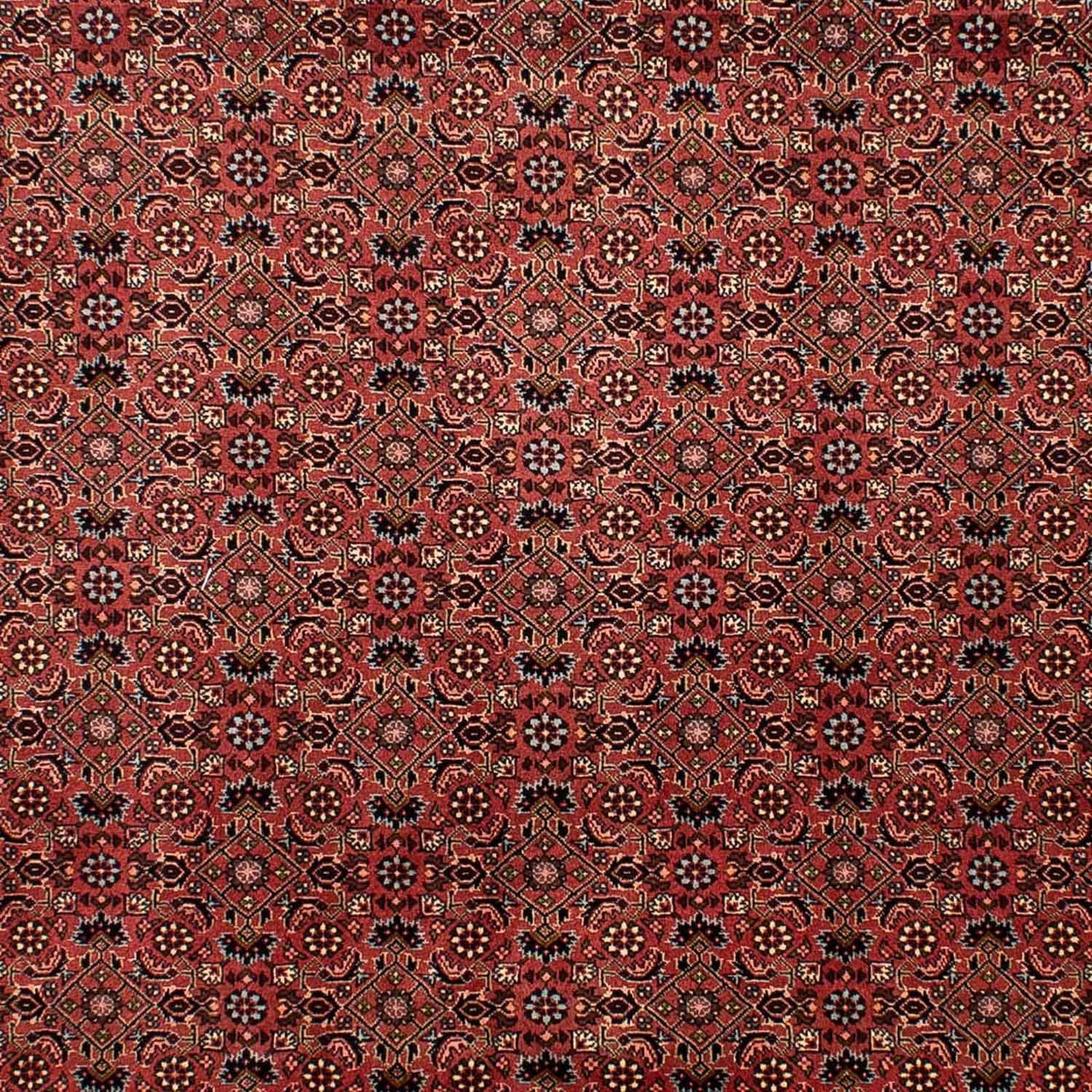 Alfombra persa - Bidjar - 292 x 203 cm - rojo oscuro