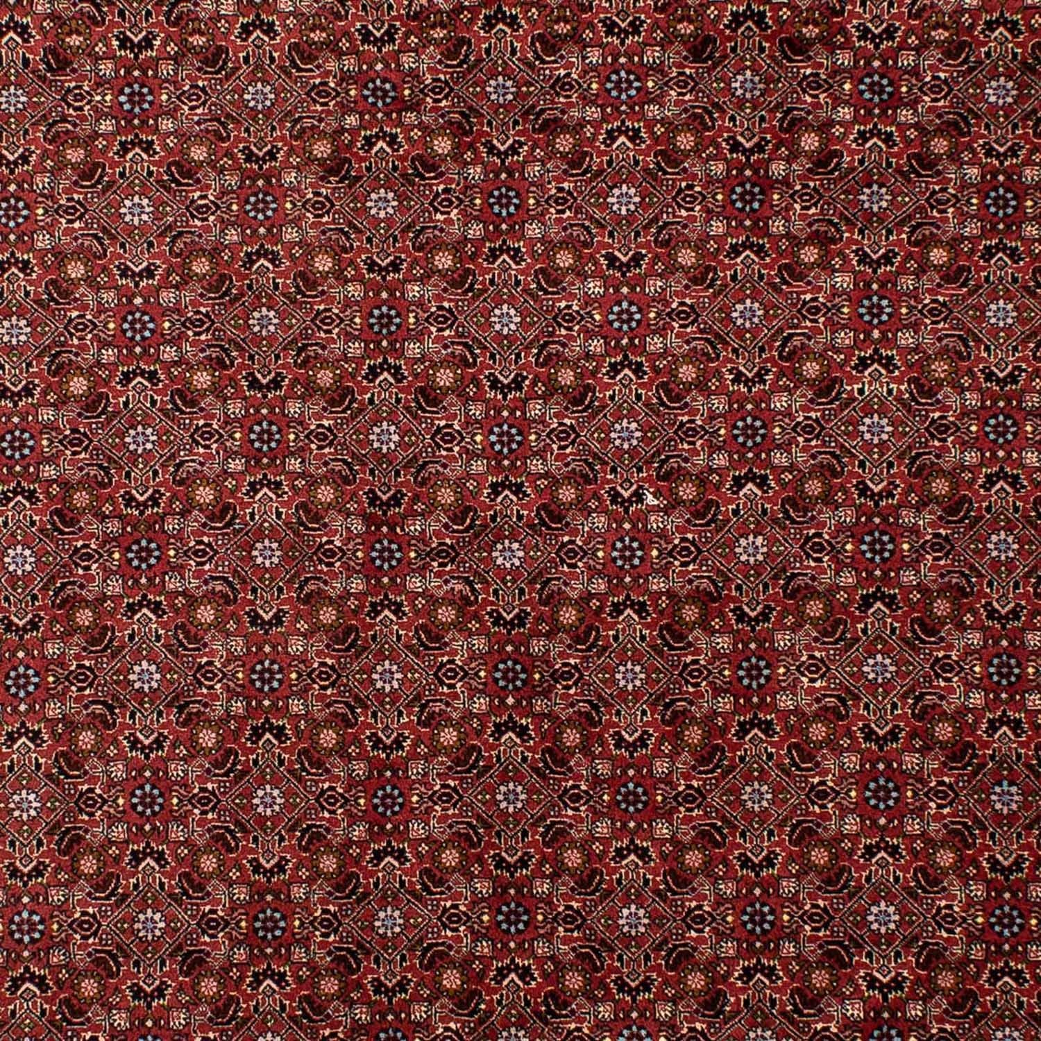 Alfombra persa - Bidjar - 288 x 198 cm - rojo oscuro