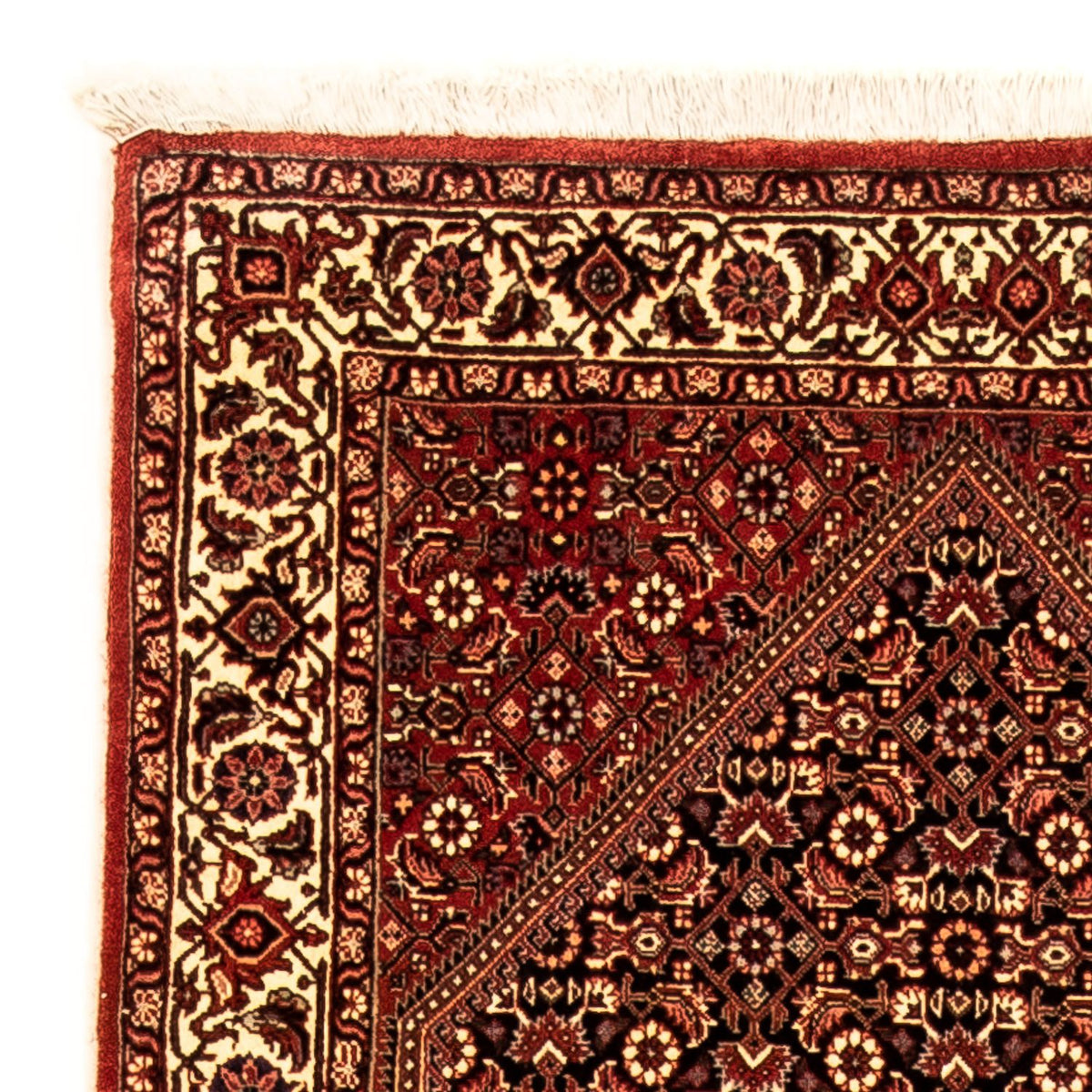 Alfombra de pasillo Alfombra persa - Bidjar - 315 x 86 cm - multicolor