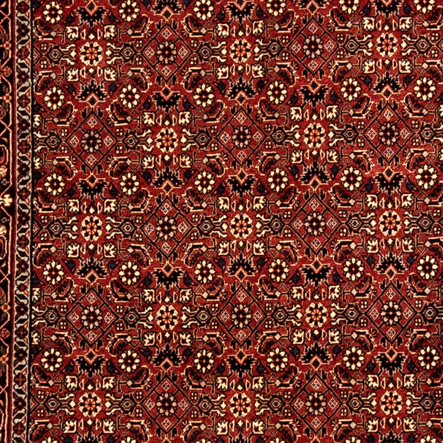 Alfombra de pasillo Alfombra persa - Bidjar - 296 x 81 cm - multicolor