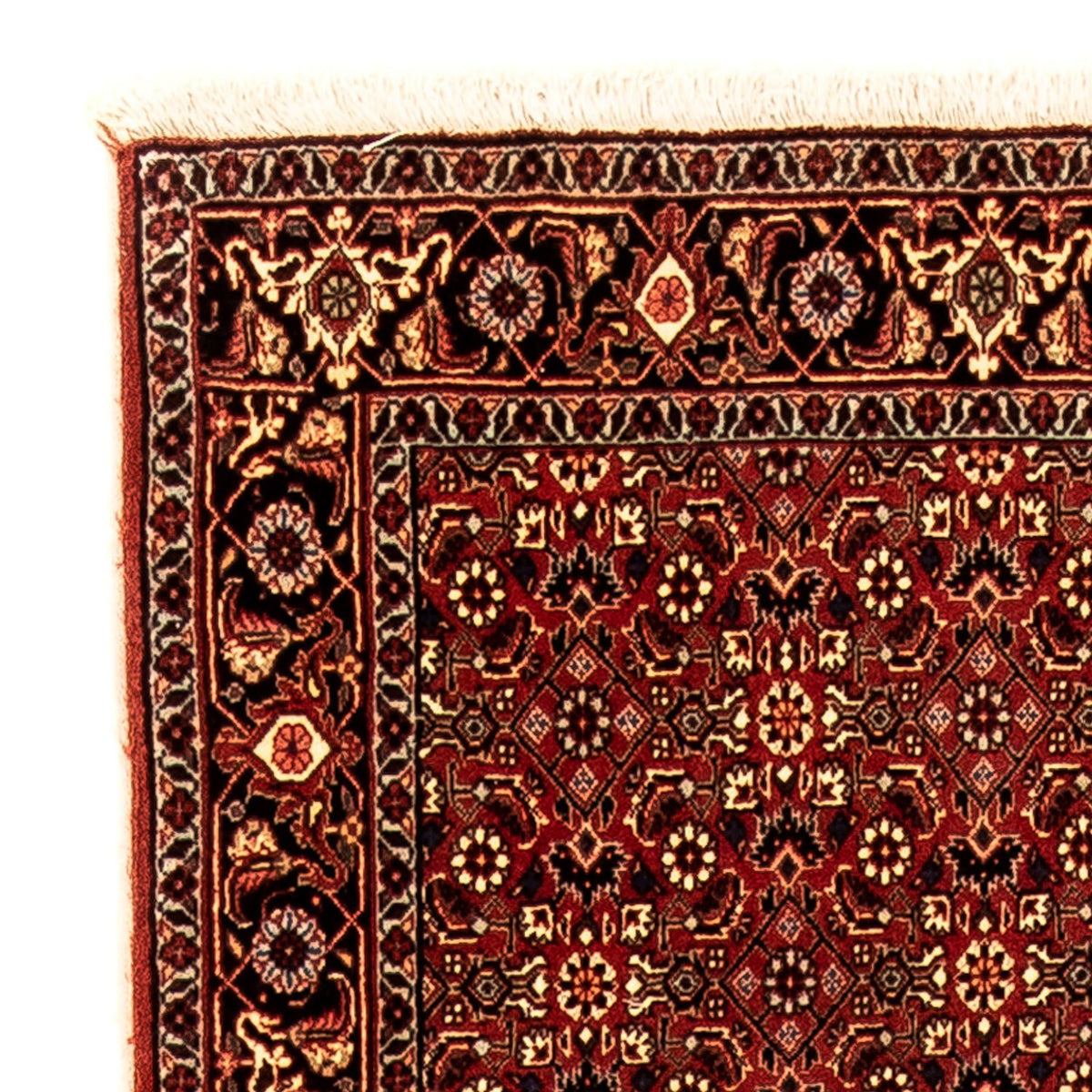 Alfombra de pasillo Alfombra persa - Bidjar - 296 x 81 cm - multicolor