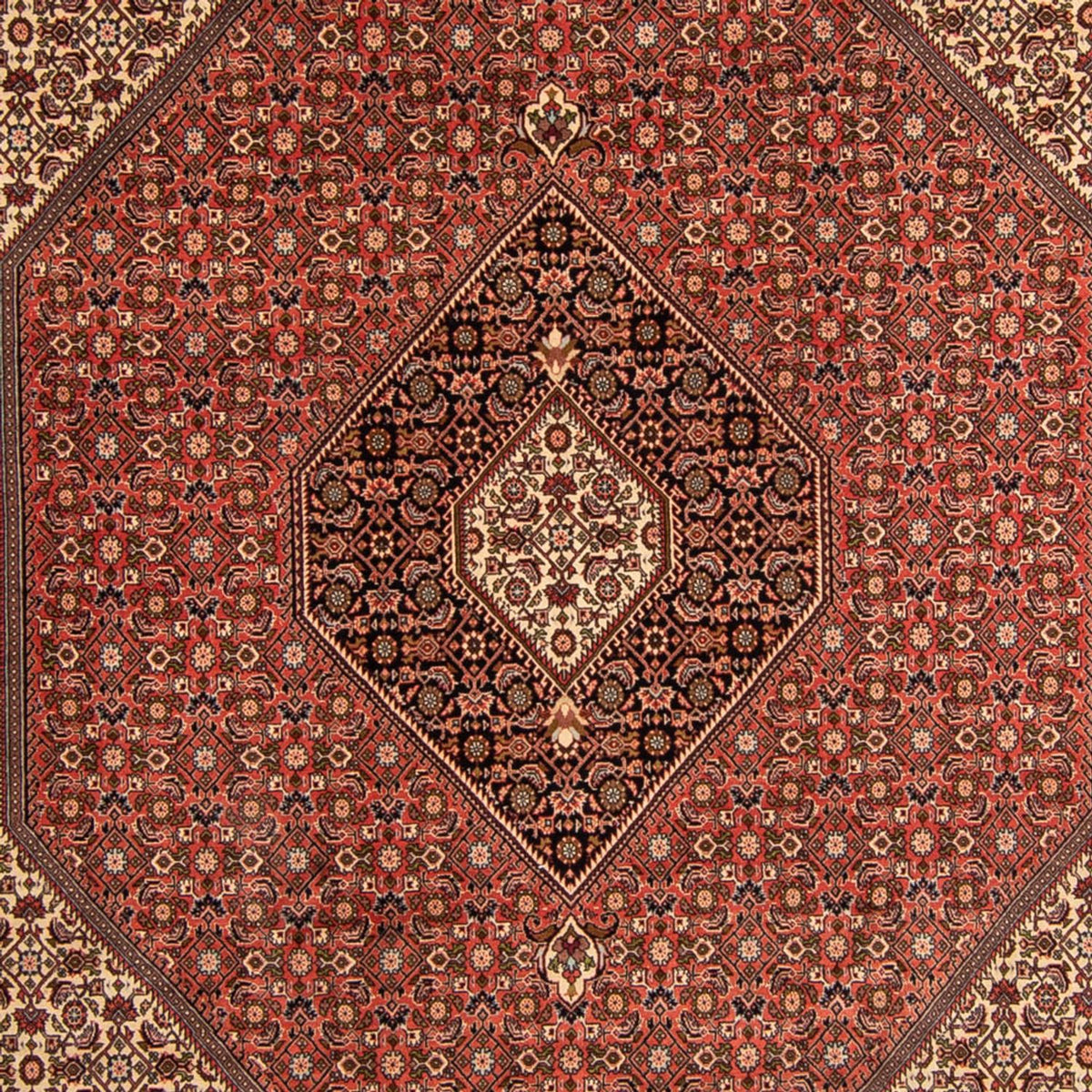 Alfombra persa - Bidjar - 343 x 250 cm - marrón