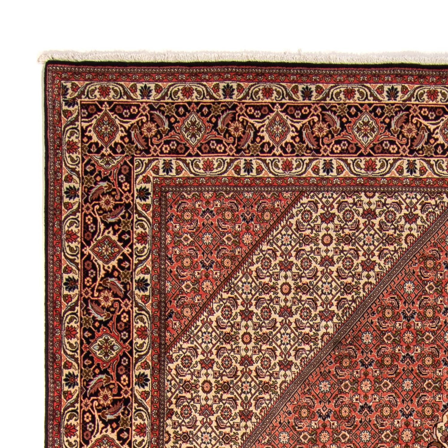 Alfombra persa - Bidjar - 343 x 250 cm - marrón