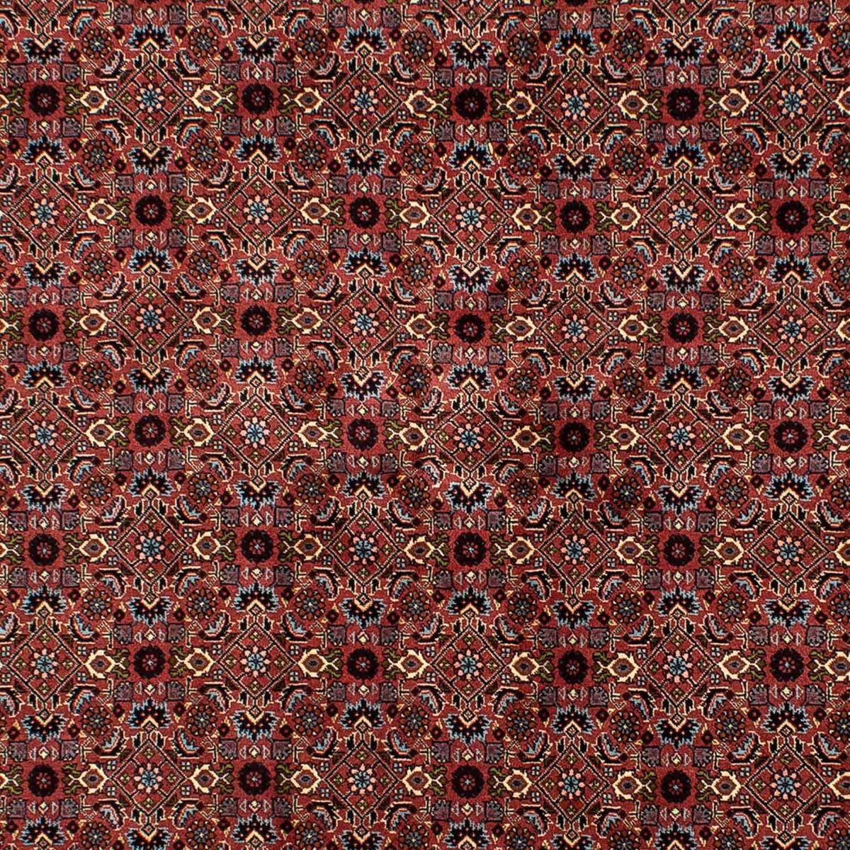 Alfombra persa - Bidjar - 257 x 178 cm - rojo oscuro