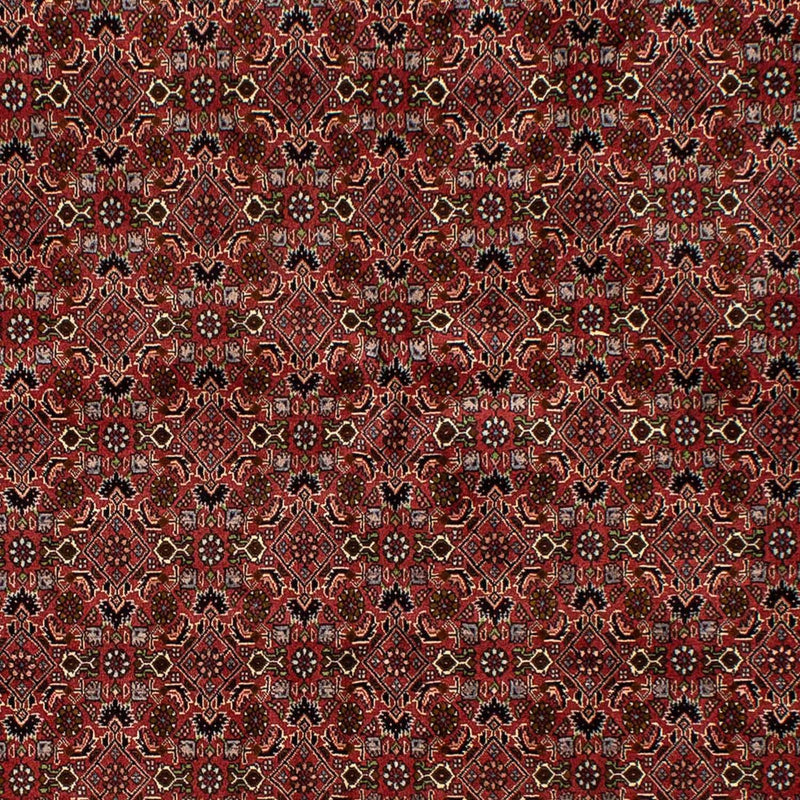 Alfombra persa - Bidjar - 245 x 177 cm - rojo oscuro