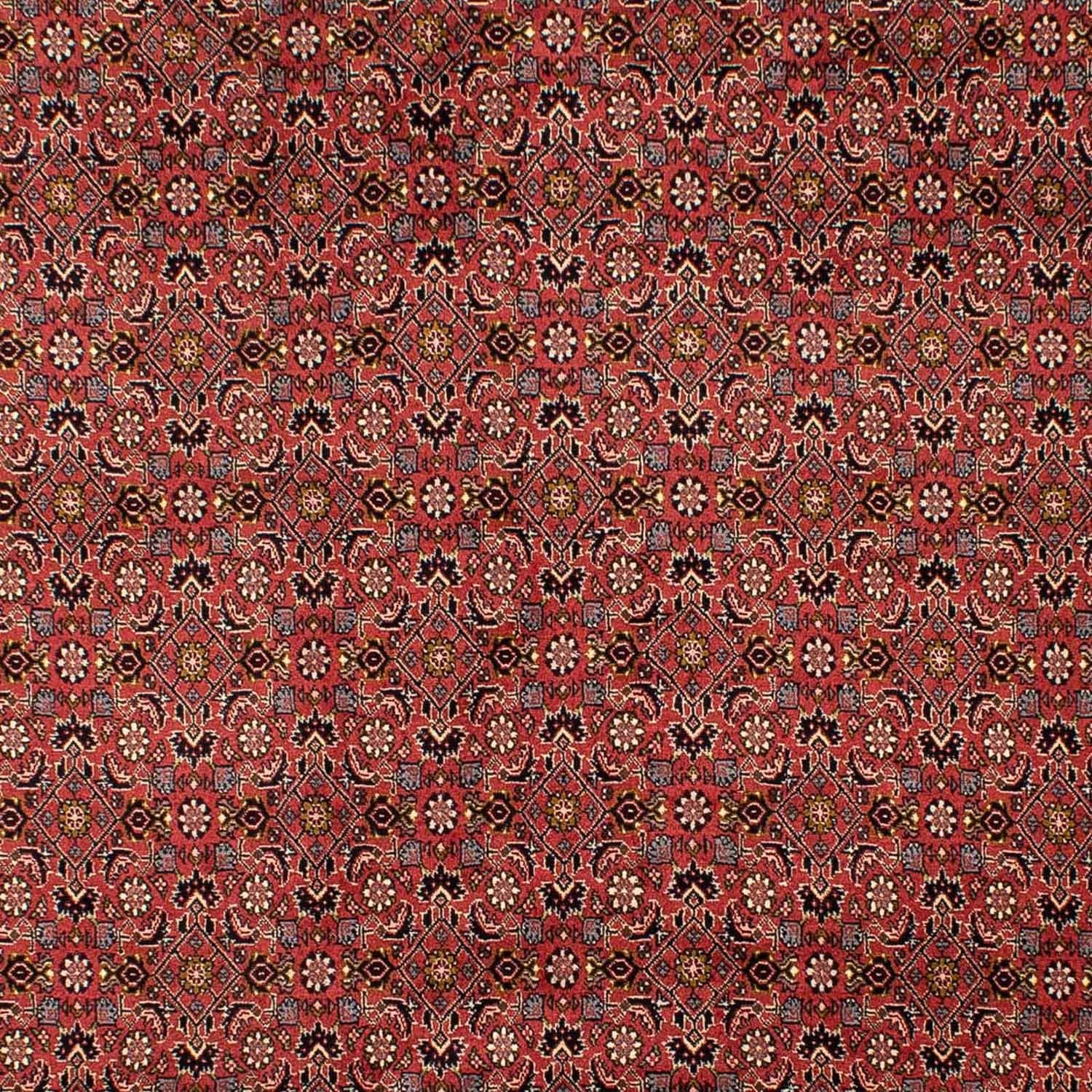 Alfombra persa - Bidjar - 293 x 206 cm - rojo oscuro