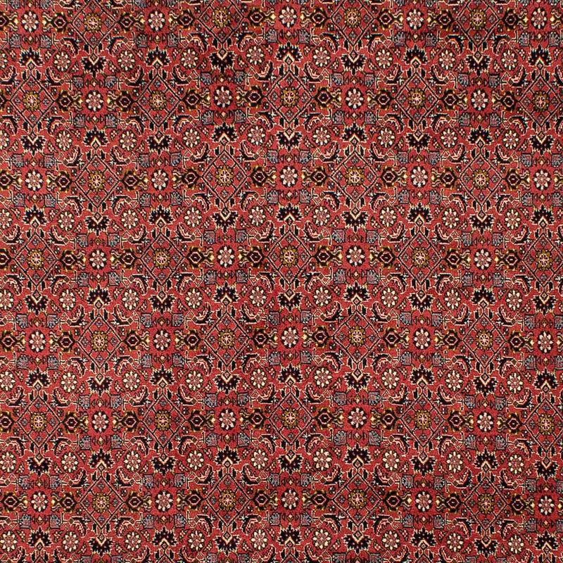 Alfombra persa - Bidjar - 293 x 206 cm - rojo oscuro