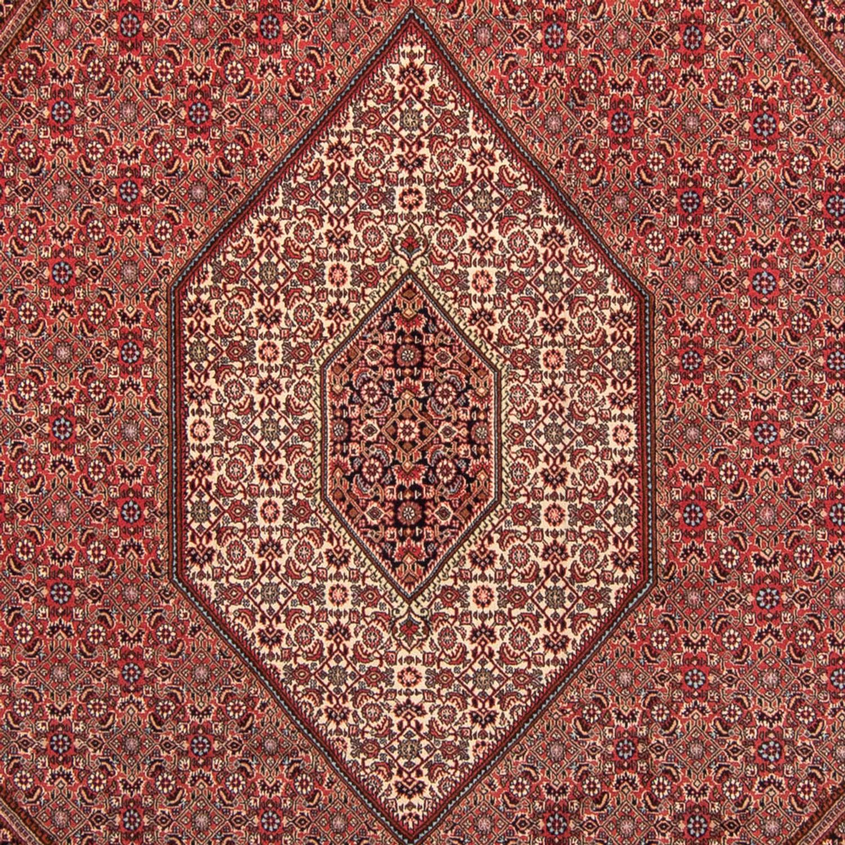 Alfombra persa - Bidjar - 350 x 248 cm - rojo claro