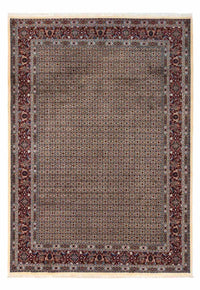 Alfombra persa - Clásica - 346 x 252 cm - beige