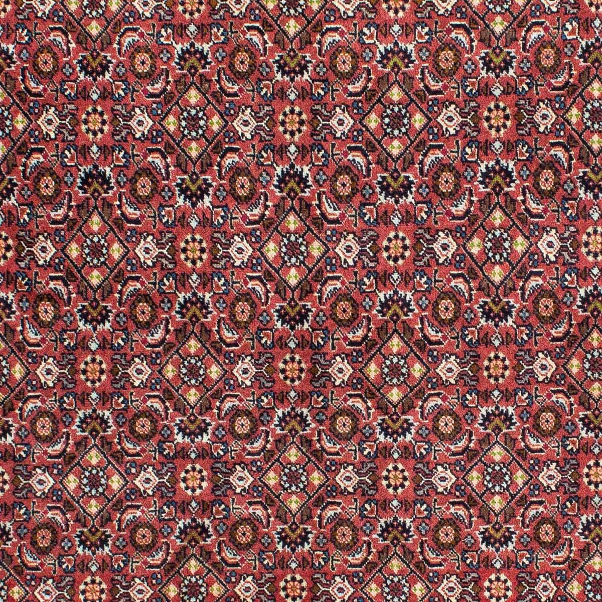 Alfombra persa - Bidjar - 215 x 140 cm - rojo