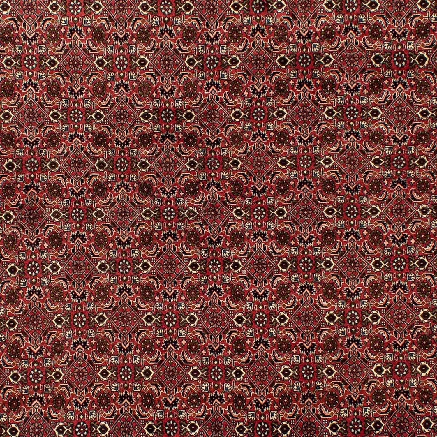 Alfombra persa - Bidjar - 284 x 202 cm - marrón