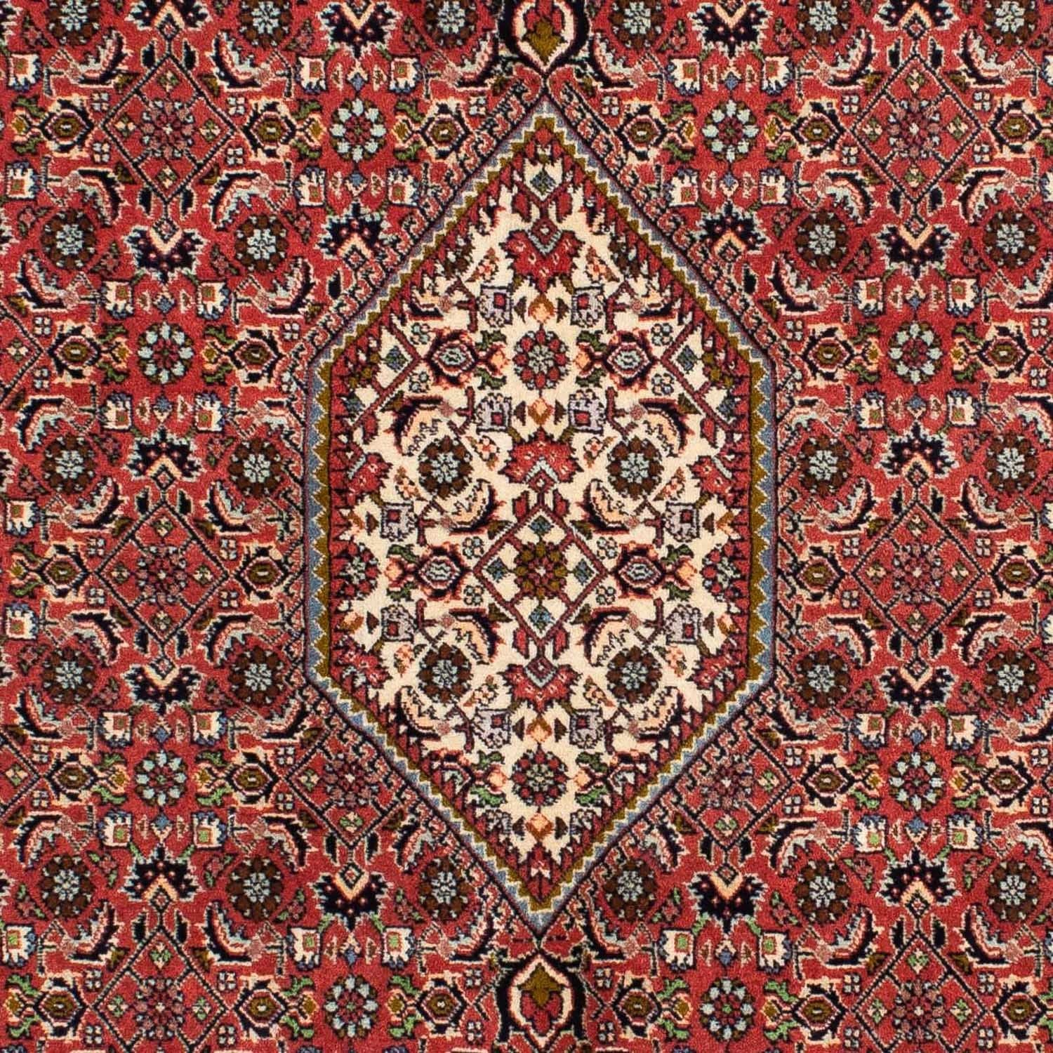 Alfombra persa - Bidjar - 218 x 137 cm - rojo