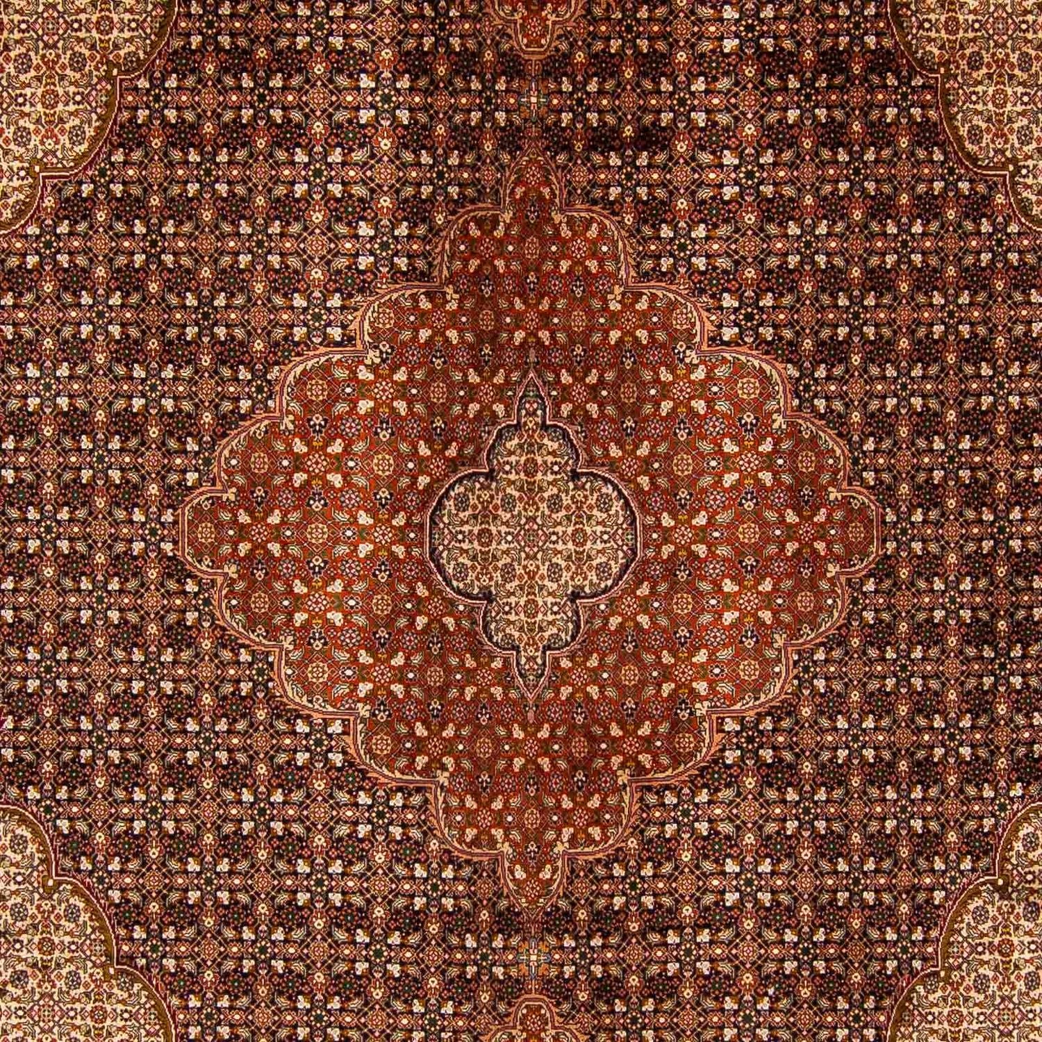 Alfombra persa - Tabriz - 390 x 295 cm - marrón